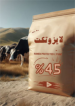 لیزین پوشش دار